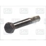 Shock absorber bolt