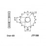 Pinion fata