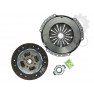 Clutch kit with bearing