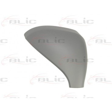 Carcasa oglinda retrovizoare