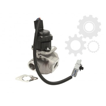 Supapa EGR