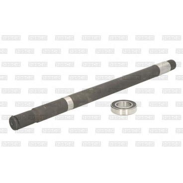 Ax cardnic diferential