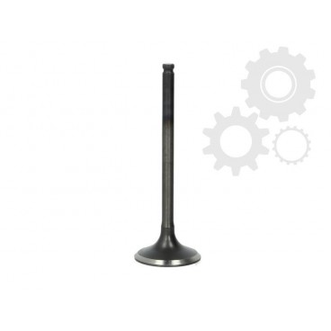 Supape/pastile reglaj