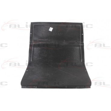 Scut motor/cutie viteze