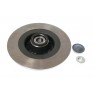 Brake disk with bearing