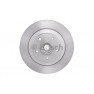 Brake disk with bearing