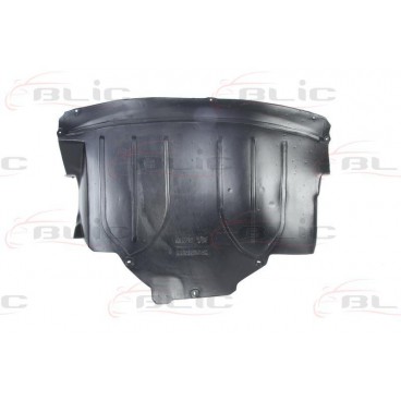 Scut motor/cutie viteze
