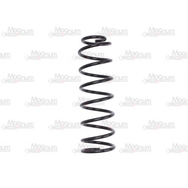 Arc suspensie axa spate