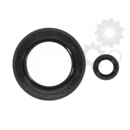 Set garnituri motor