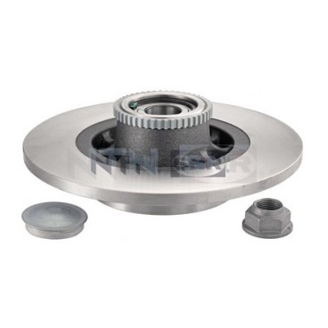 Brake disk with bearing