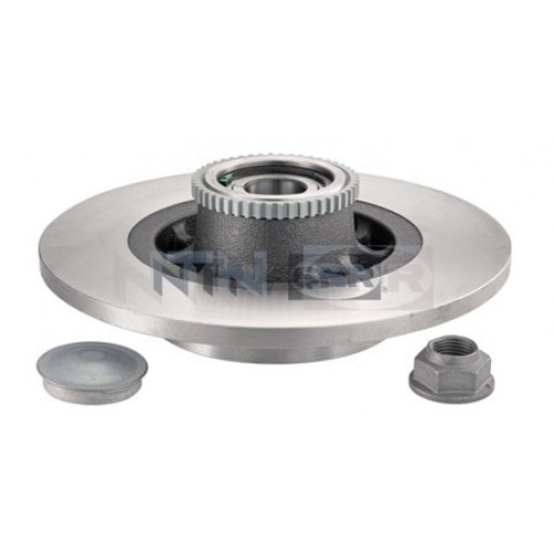 Brake disk with bearing