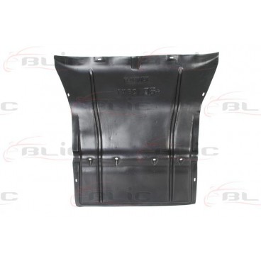 Scut motor/cutie viteze