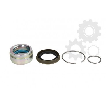 Kit reparatie mecanism cabina