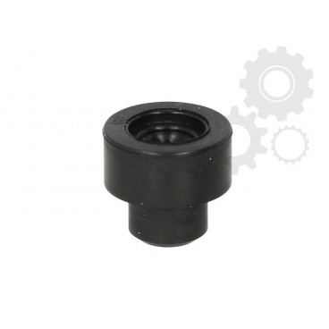 Elementele injectiei multipunct