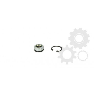 A/C compressor seal