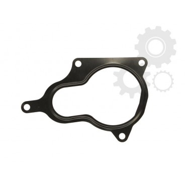 Garnitura supapa EGR