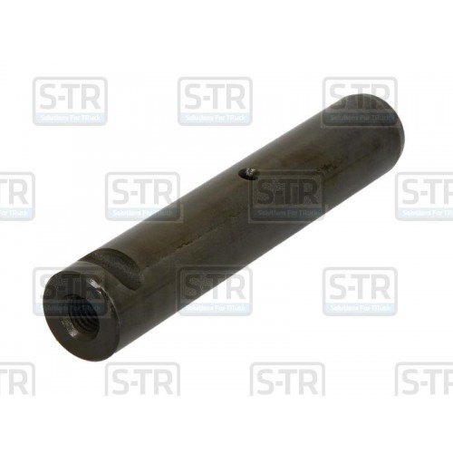 Leaf spring bolt
