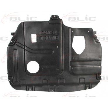 Scut motor/cutie viteze