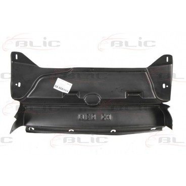 Scut motor/cutie viteze