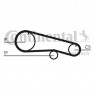 Curea distributie