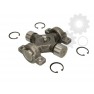 Pinion satelit planetara