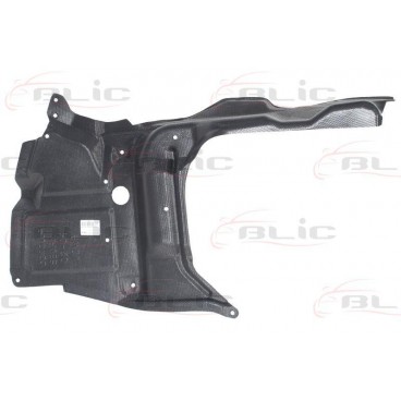 Scut motor/cutie viteze