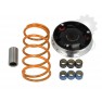 Variator