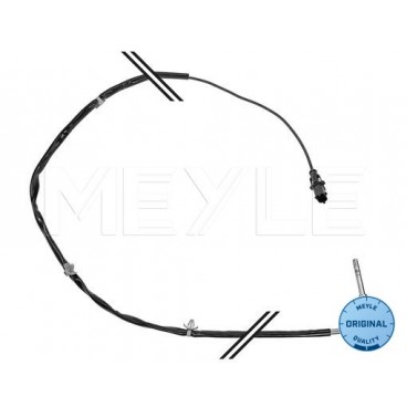 Senzor temperatura evacuare