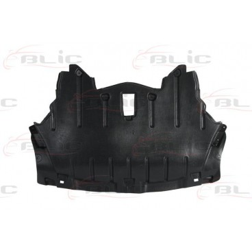 Scut motor/cutie viteze