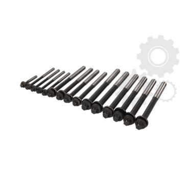 Set bolturi chiulasa