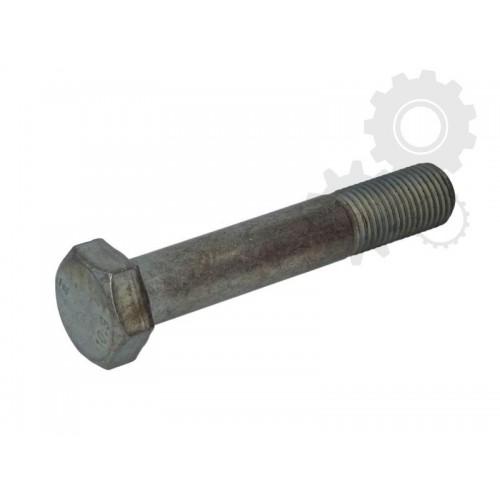 Raw Hex bolts