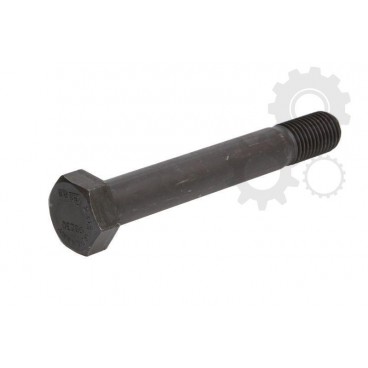 Leaf spring fixing bolt