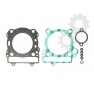 Set superior garnituri