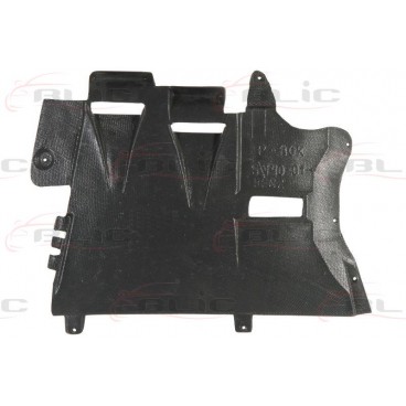 Scut motor/cutie viteze