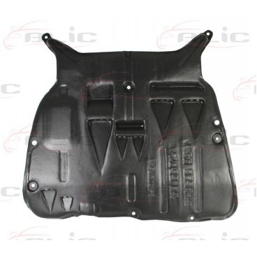 Scut motor/cutie viteze