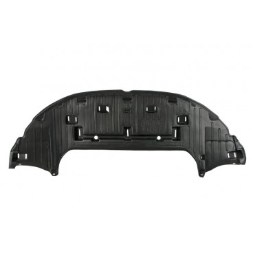 Scut motor/cutie viteze