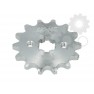 Pinion fata