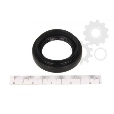 Simering ax cardanic