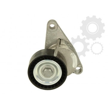 Intinzator curea