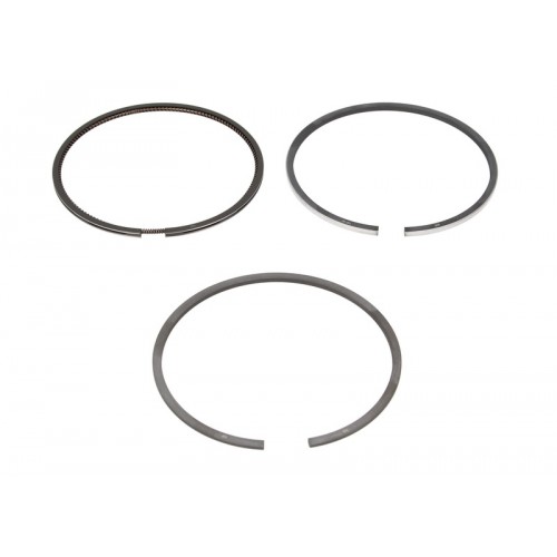 Segmenti piston
