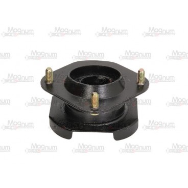 Amortizor suspensie Mc Pherson