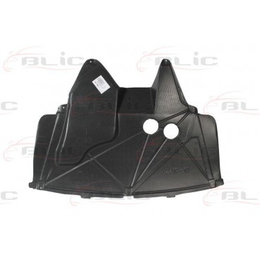 Scut motor/cutie viteze