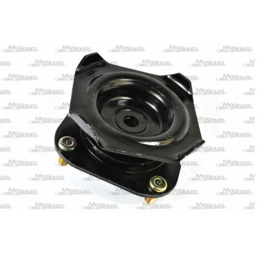 Amortizor suspensie Mc Pherson