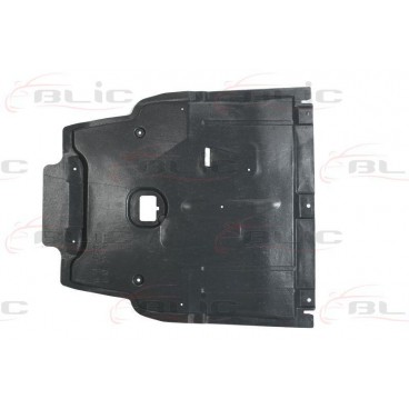 Scut motor/cutie viteze