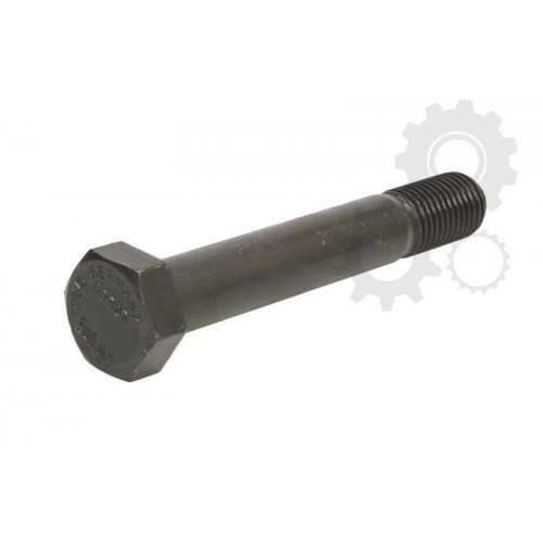 Leaf spring fixing bolt