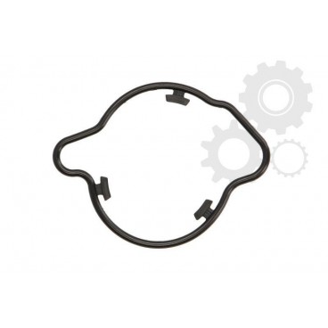 Set garnituri carburator