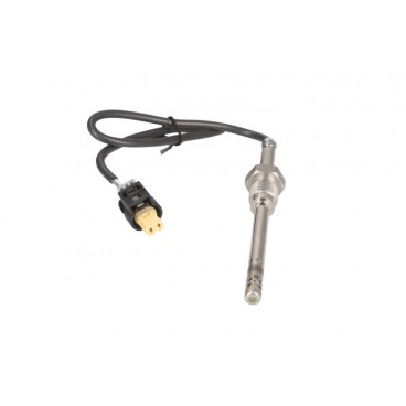 Senzor temperatura evacuare