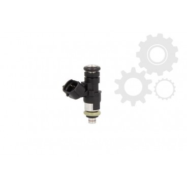Injector combustibil