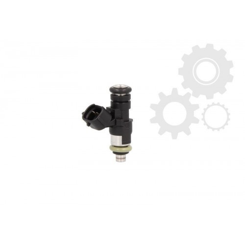 Injector combustibil