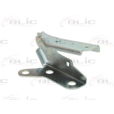 Elemente capota motor